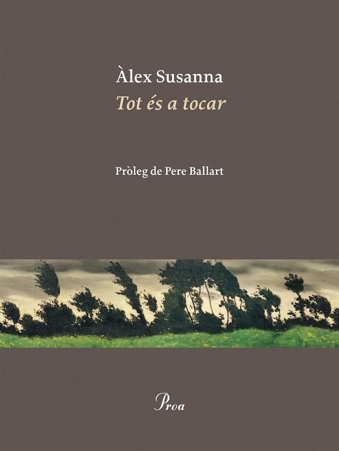 Tot és a tocar | 9788410488045 | Susanna Nadal, Àlex | Librería online de Figueres / Empordà