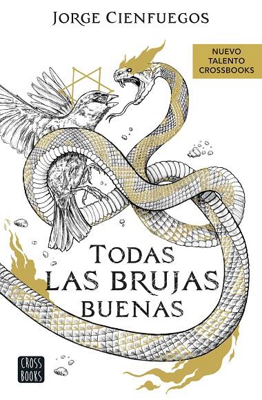 Todas las brujas buenas | 9788408260066 | Cienfuegos, Jorge | Llibreria online de Figueres i Empordà