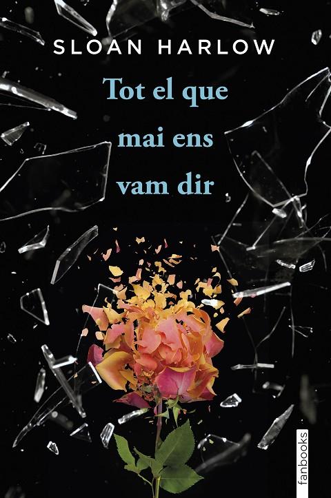 Tot el que mai ens vam dir | 9788410028135 | Harlow, Sloan | Librería online de Figueres / Empordà