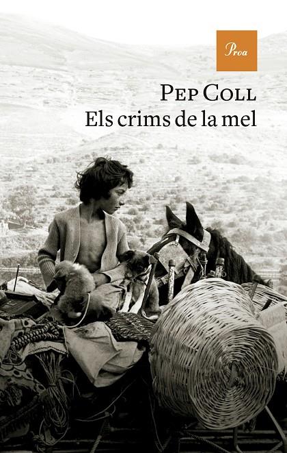 Els crims de la mel | 9788419657930 | Coll, Pep | Llibreria online de Figueres i Empordà