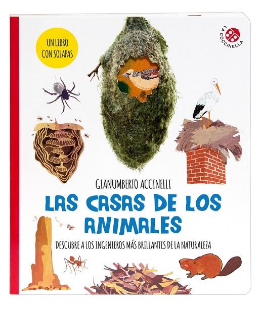 LAS CASAS DE LOS ANIMALES | 9788855064651 | Accinelli, Gianumberto | Llibreria online de Figueres i Empordà