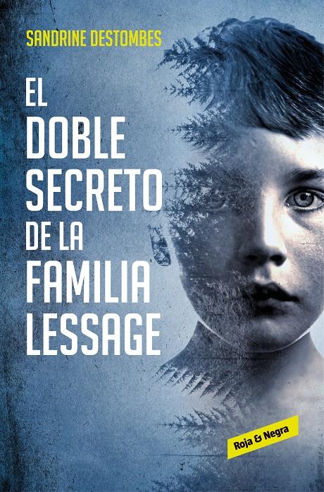 El doble secreto de la familia Lessage | 9788417511494 | Destombes, Sandrine | Librería online de Figueres / Empordà