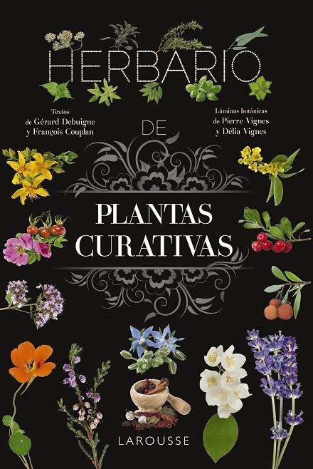 Herbario de plantas curativas | 9788410124110 | Vignes, Pierre/Vignes, Délia | Llibreria online de Figueres i Empordà