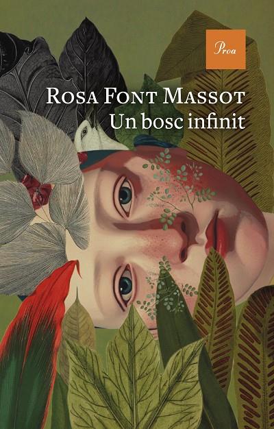 Un bosc infinit | 9788419657732 | Font Massot, Rosa | Librería online de Figueres / Empordà