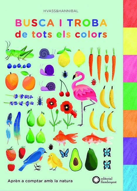 Busca i troba de tots els colors | 9788494504259 | Llibreria online de Figueres i Empordà