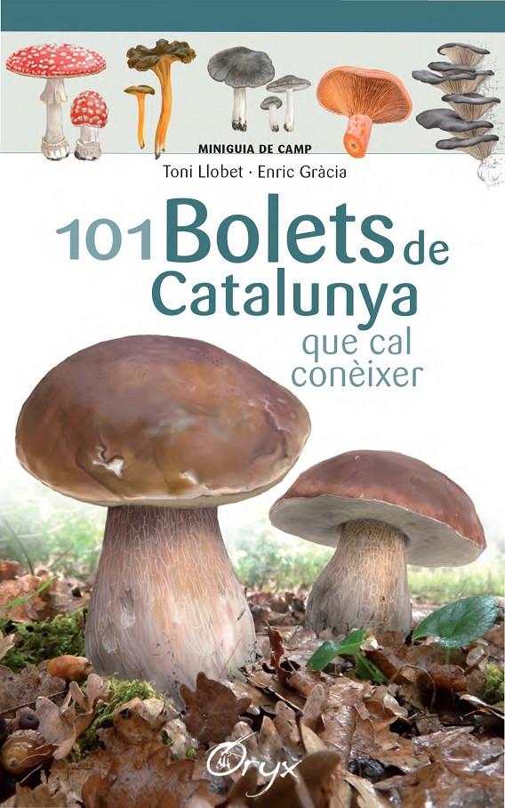 101 bolets de Catalunya | 9788490347096 | Llobet François, Toni/Gràcia, Enric | Llibreria online de Figueres i Empordà