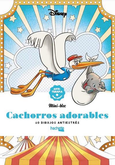 Cachorros adorables | 9788419804341 | Varios autores | Llibreria online de Figueres i Empordà