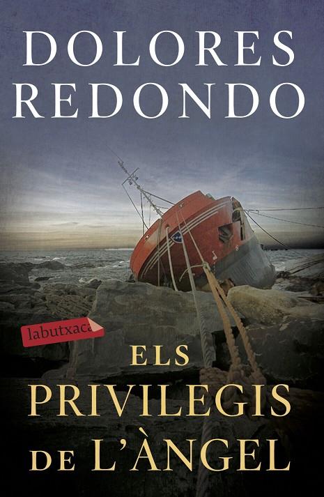 Els privilegis de l'àngel | 9788417423971 | Redondo, Dolores | Llibreria online de Figueres i Empordà