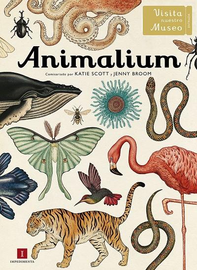 Animalium (ESP) | 9788415979463 | Llibreria online de Figueres i Empordà