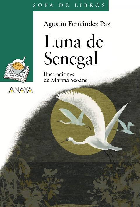 Luna de Senegal | 9788466784306 | Fernández Paz, Agustín | Librería online de Figueres / Empordà