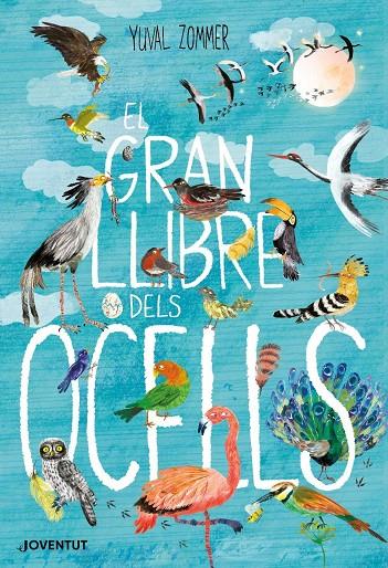 El gran llibre dels ocells | 9788426145840 | Zommer, Yuval | Llibreria online de Figueres i Empordà