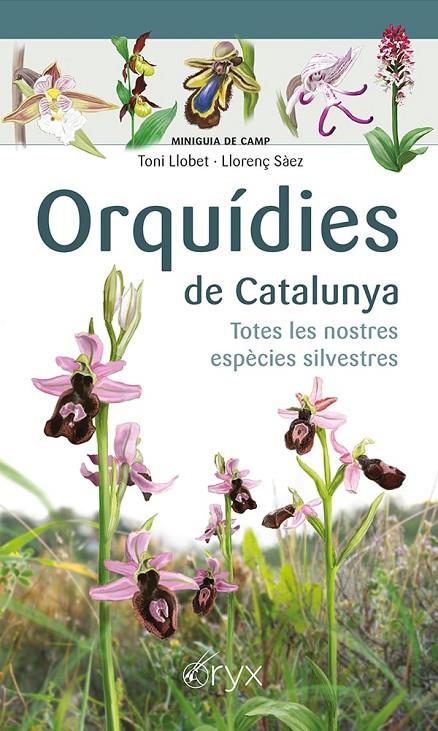 Orquídies de Catalunya | 9788413560403 | Sàez Goñalons, Llorenç/Llobet François, Toni | Llibreria online de Figueres i Empordà