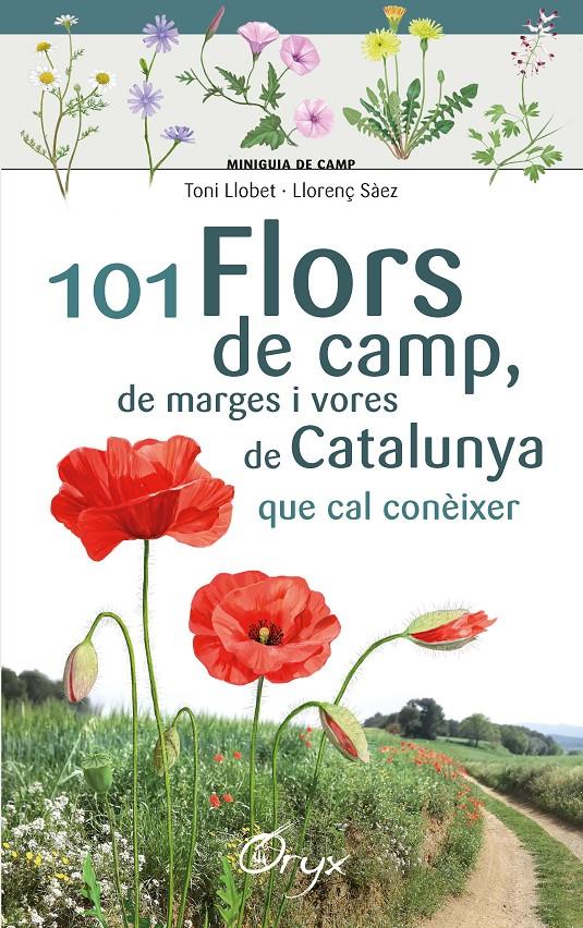 101 flors de camp, de marges i vores de Catalunya | 9788490348413 | Llobet François , Toni/Sàez Goñalons , Llorenç | Llibreria online de Figueres i Empordà