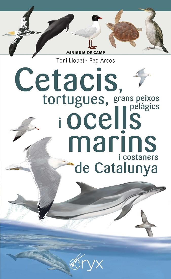 Cetacis, tortugues, grans peixos pelàgics i ocells marins de Catalunya | 9788490349441 | Llobet François, Toni/Arcos xx, Pep | Llibreria online de Figueres i Empordà