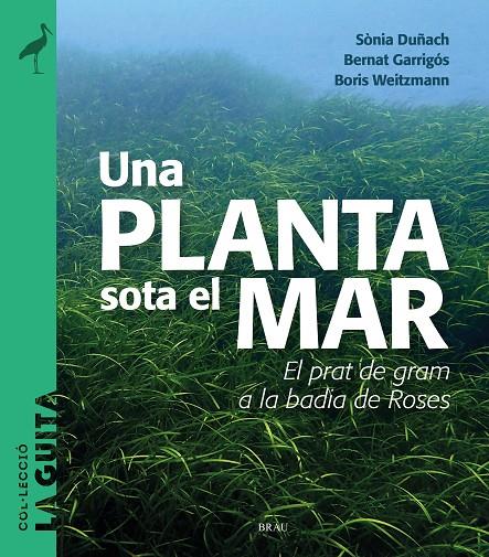 Una planta sota el mar | 9788418096747 | Duñach, Sònia/Garrigós, Bernat/Weitzmann, Boris | Librería online de Figueres / Empordà