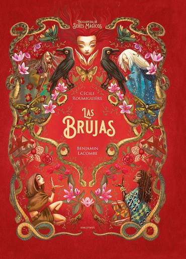 Las brujas | 9788414041697 | Roumiguière, Cécile/Lacombe, Benjamin | Librería online de Figueres / Empordà