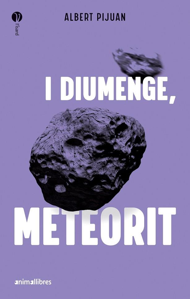 I diumenge, meteorit | 9788419659415 | Albert Pijuan | Llibreria online de Figueres i Empordà