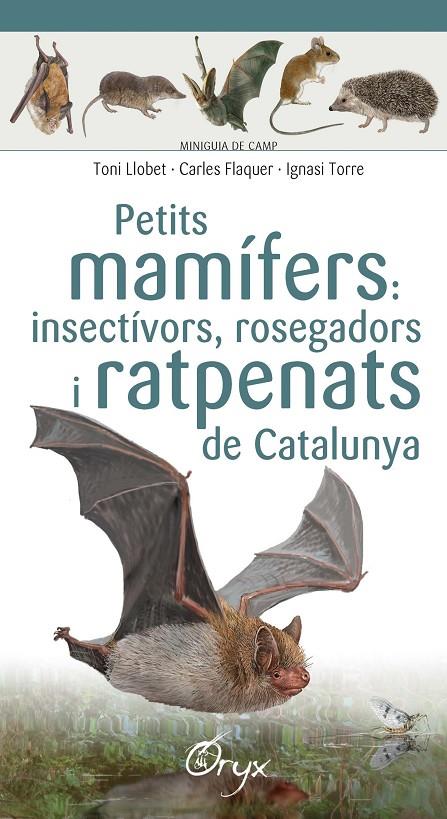 Petits mamífers: insectívors, rosegadors i ratpenats de Catalunya | 9788490348956 | Llobet François , Toni/Flaquer XX, Carles/Torre XX, Ignasi | Llibreria online de Figueres i Empordà