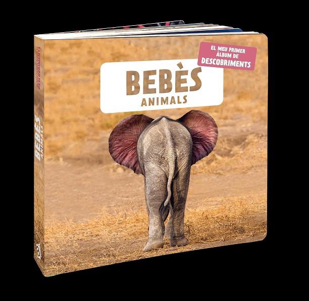 Bebès animals | 9788418762109 | Naturagency | Llibreria online de Figueres i Empordà