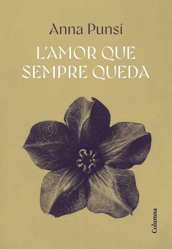 L'amor que sempre queda | 9788466432382 | Punsí Lladó, Anna | Librería online de Figueres / Empordà