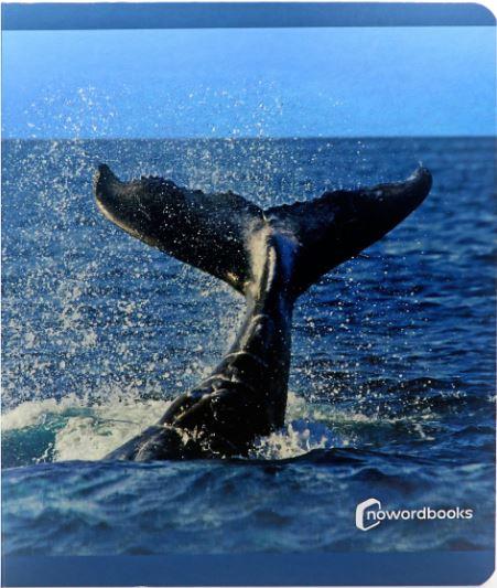 Animales del mar | 9788412344561 | Librería online de Figueres / Empordà