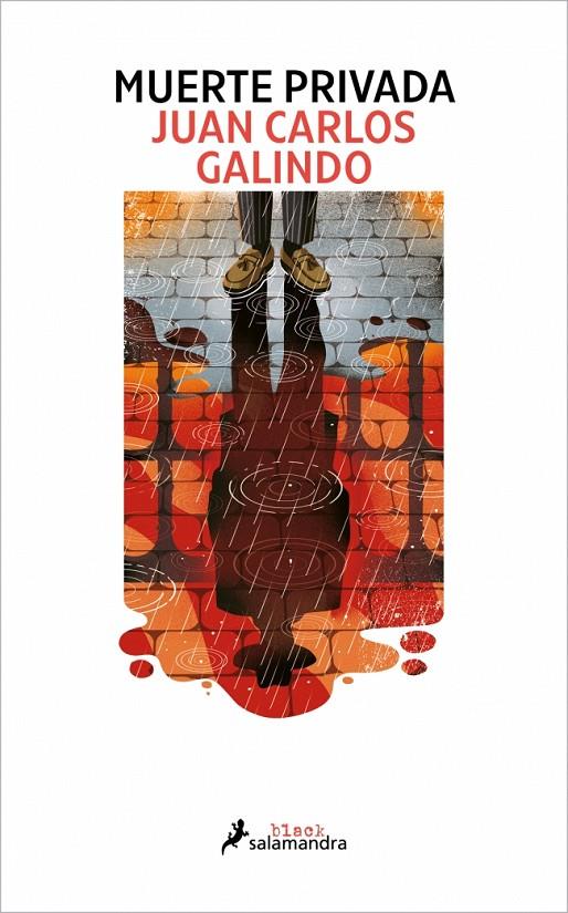 Muerte privada (Segovia noir 2) | 9788410340503 | Galindo, Juan Carlos | Librería online de Figueres / Empordà