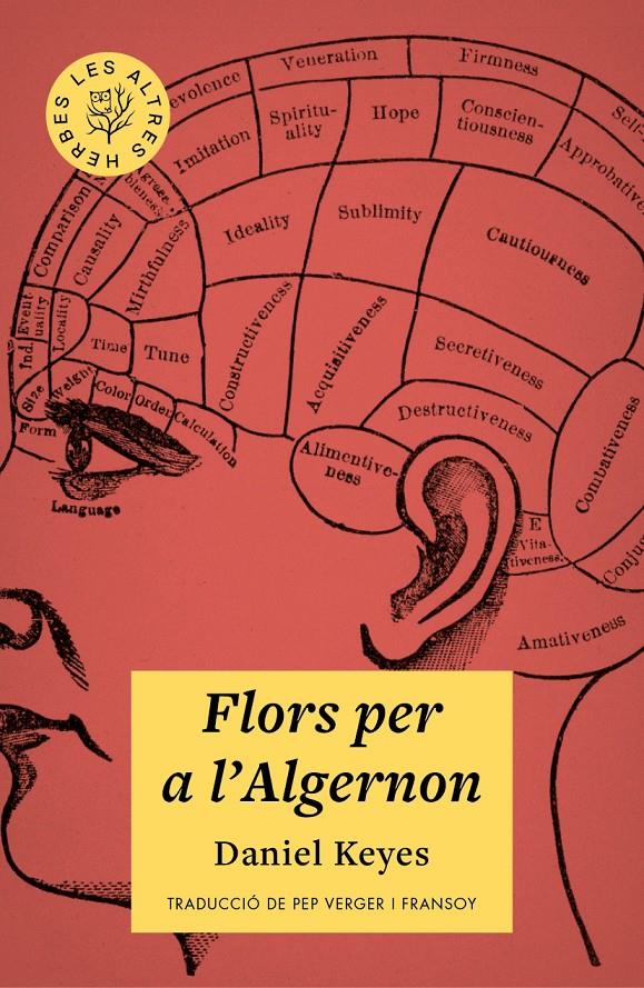 Flors per a l'Algernon | 9788412209778 | Keyes, Daniel | Llibreria online de Figueres i Empordà