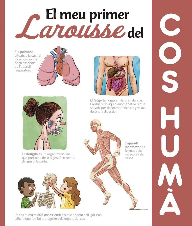 El meu primer Larousse del cos humà | 9788417273606 | Larousse Editorial | Llibreria online de Figueres i Empordà