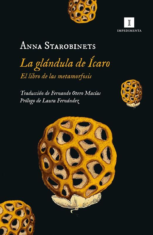 La glándula de Ícaro | 9788419581020 | Starobinets, Anna | Llibreria online de Figueres i Empordà