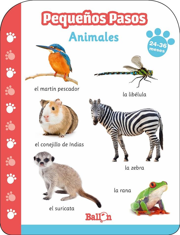 Pequeños pasos -ANIMALES 24-36 meses | 9789403213613 | BALLON | Llibreria online de Figueres i Empordà